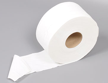 Toalet papir dvoslojni rolna TP 10/1